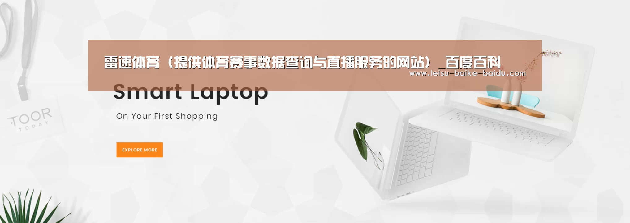 某某网络科技有限公司