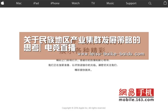 关于民族地区产业集群发展策略的思考| 电竞直播