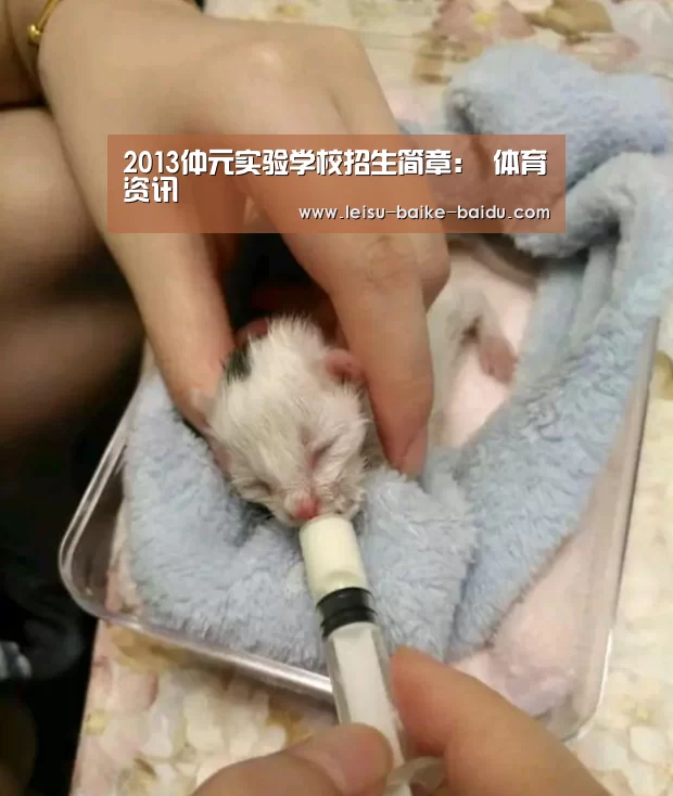 2013仲元实验学校招生简章： 体育资讯