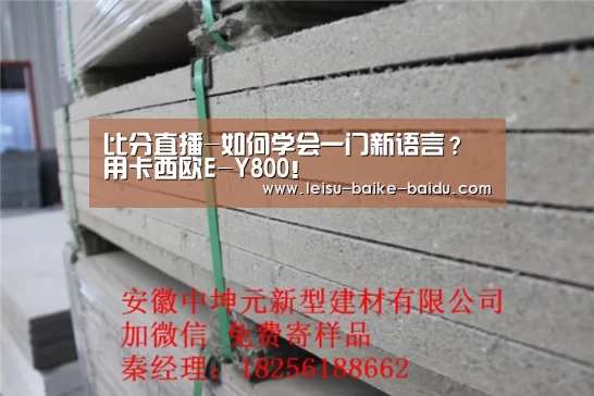 比分直播-如何学会一门新语言?用卡西欧E-Y800!(图4) 雷速网