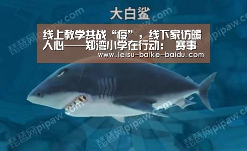 线上教学共战“疫”,线下家访暖人心——郑湾小学在行动: 赛事数据(图1) 赛事数据