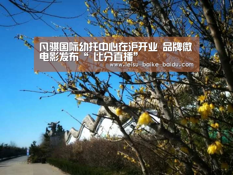 凡骐国际幼托中心在沪开业 品牌微电影发布“ 比分直播”(图2) 体育比分