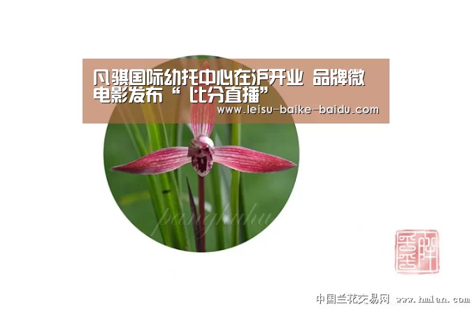 凡骐国际幼托中心在沪开业 品牌微电影发布“ 比分直播”(图1) 实时赔率