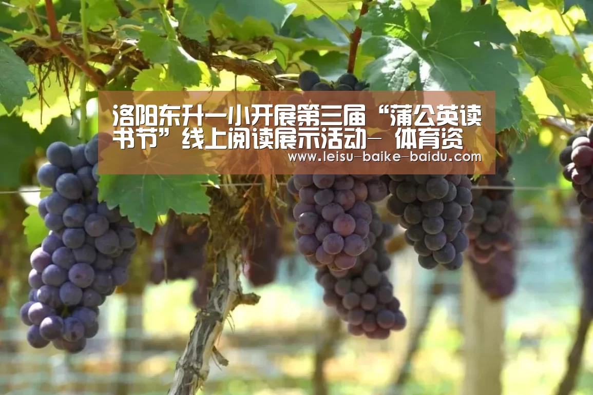 洛阳东升一小开展第三届“蒲公英读书节”线上阅读展示活动- 体育资讯(图1) 电竞直播